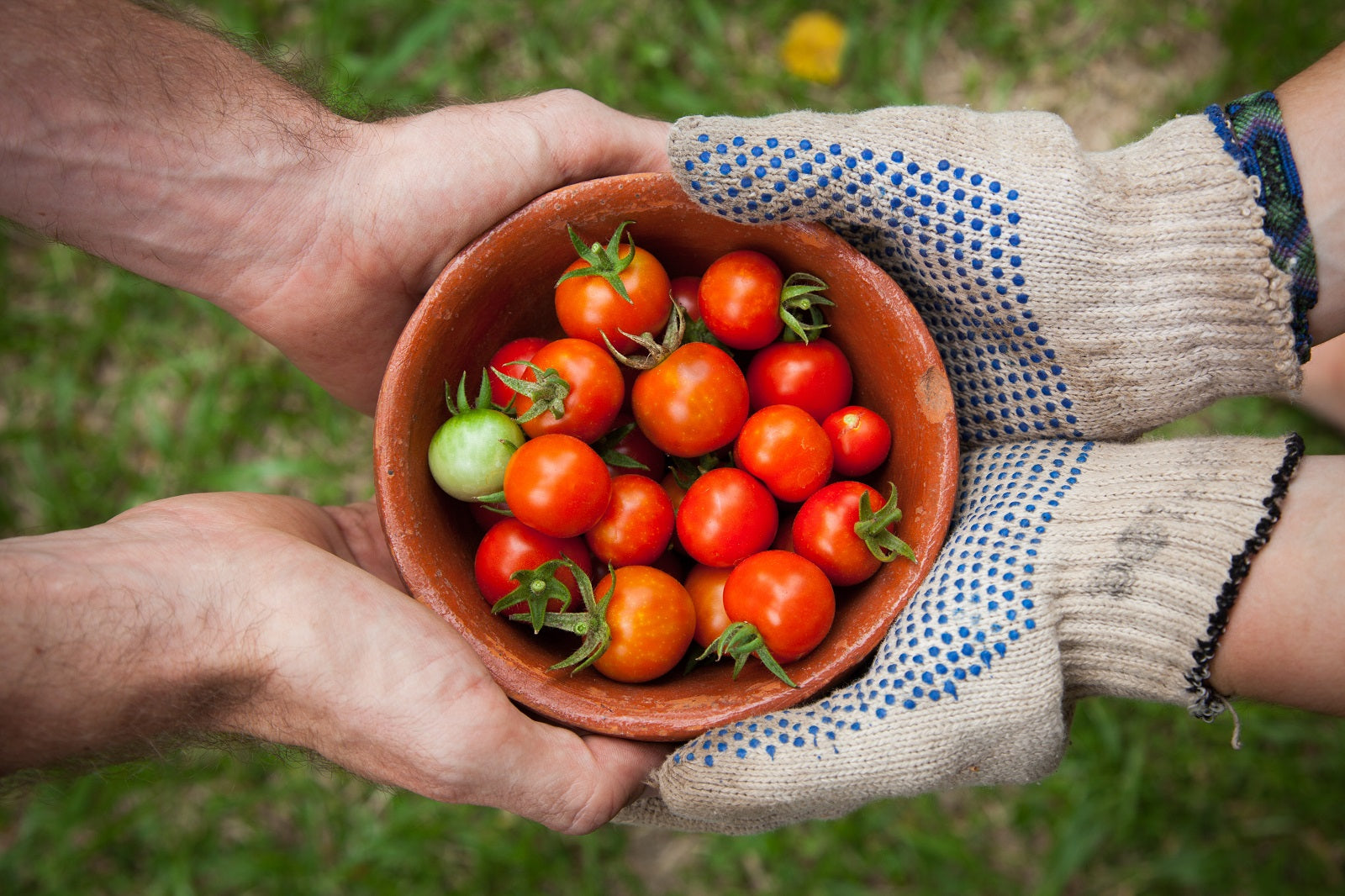 Sustainability and HouseCook: Our Commitment to the Environment